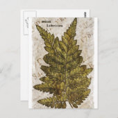 Grüne Botanische Ferns tropische Vorlage Postkarte (Vorne/Hinten)