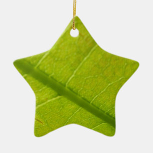 Grüne Botanische Naturfotografie Keramikornament