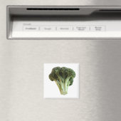 Grüne Broccoli Frische Gemüsegarnelen Magnet (In Situ (Geschirrspüler))