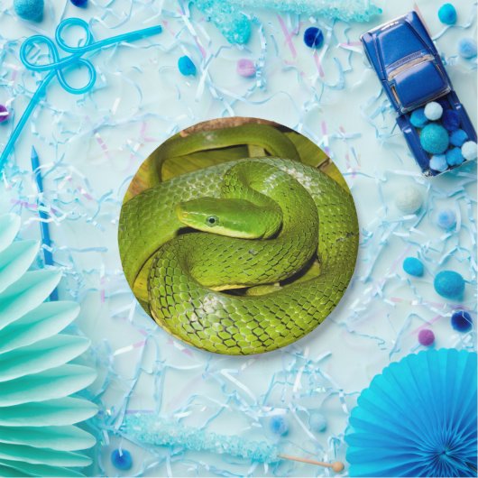 Grüne Bush-Ratten-Schlange Pappteller (Party)