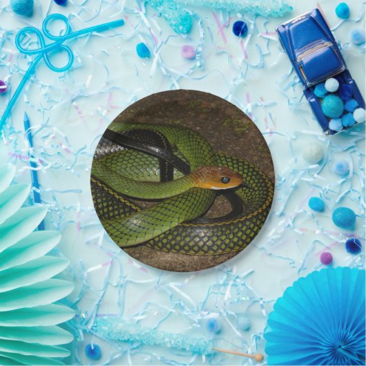 Grüne Bush-Ratten-Schlange Pappteller (Party)