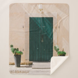 GRÜNE CACTUS-PFLANZE IN DER NÄHE DER GRÜNEN TÜ SHERPADECKE