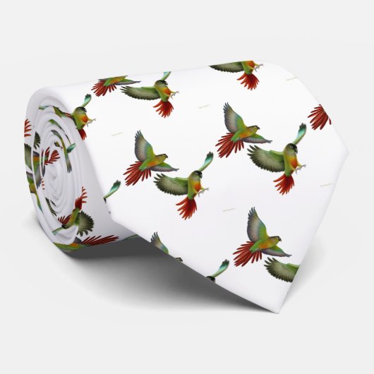 Grüne Cheeked Conures Krawatte (Gerollt)