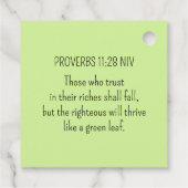 Grüne Clovers Foto Wohlstand Bibel Verse Niedlich Geschenkanhänger (Rückseite)