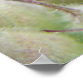 Grüne Cricket auf der linken Seite Poster (Ecke)