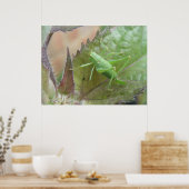 Grüne Cricket auf der linken Seite Poster (Küche)