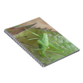 Grüne Cricket auf einem Leaf-Notebook Notizblock (Rechte Seite)