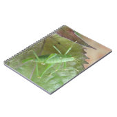 Grüne Cricket auf einem Leaf-Notebook Notizblock (Linke Seite)