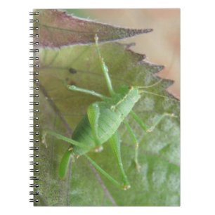 Grüne Cricket auf einem Leaf-Notebook Notizblock