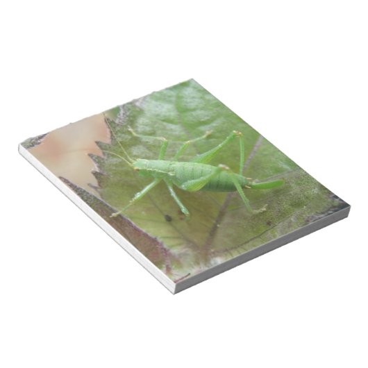 Grüne Cricket auf einem linken Notepad Notizblock (angewinkelt)