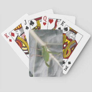 Grüne Cricket-Macro-Karten Spielkarten