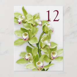 Grüne Cymbidium Orchid Blumenkarten Postkarte
