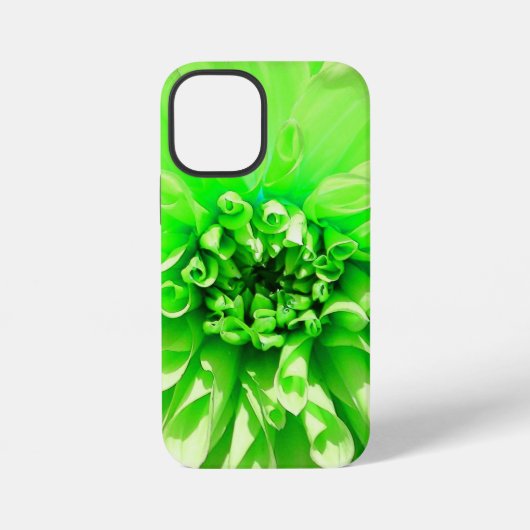 Grüne Dahlienblume iPhone Hülle (Rückseite)