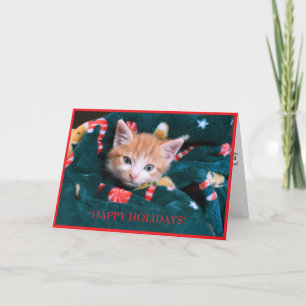 Grüne Decke Katze Feiertag Orange Kätzchen Feiertagskarte