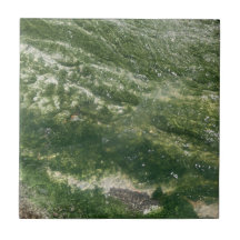 Grüne Dekorationstafel