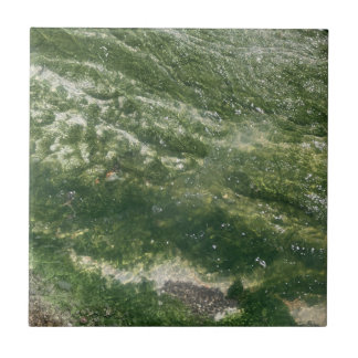 Grüne Dekorationstafel Fliese