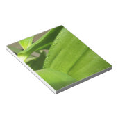 Grüne Dendrobium Orchid-Pflanze geschlossen Notizblock (angewinkelt)