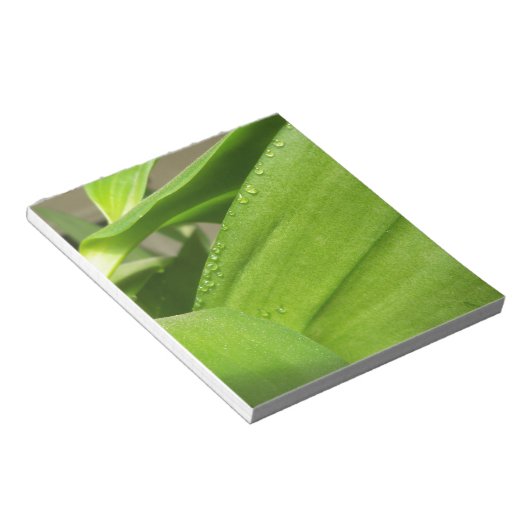 Grüne Dendrobium Orchid-Pflanze geschlossen Notizblock (angewinkelt)