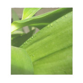 Grüne Dendrobium Orchid-Pflanze geschlossen Notizblock (Vorderseite)