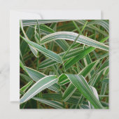 Grüne des Spinnengrases hübsche und weiße Einladung (Vorderseite)