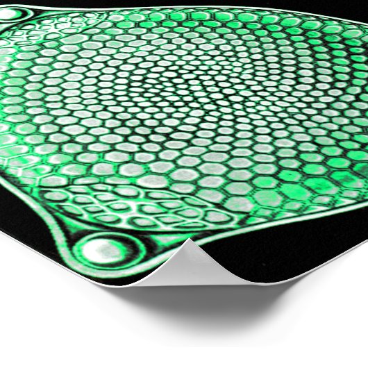 Grüne Diatomeae, Diatom Poster (Ecke)