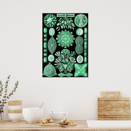 Grüne Diatomeae, Diatom Poster (Küche)