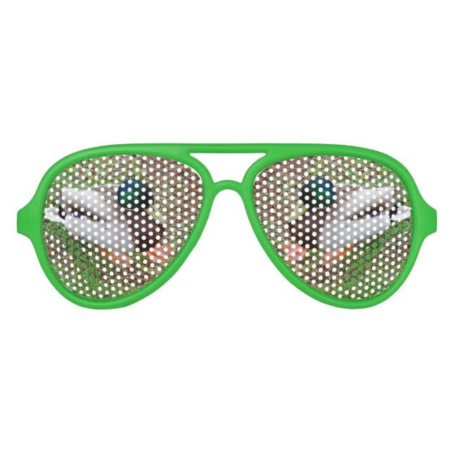 Grüne Duck Retro Party Shades, grün Partybrille (Vorderseite)