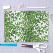 Grüne Efeu-Rebe botanisch Seidenpapier (Handwerk)