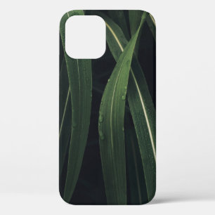 GRÜNE/EFÜHRTE PFLANZE Case-Mate iPhone HÜLLE