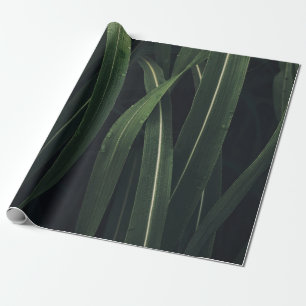 GRÜNE/EFÜHRTE PFLANZE GESCHENKPAPIER