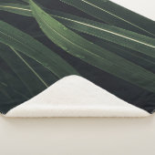 GRÜNE/EFÜHRTE PFLANZE SHERPADECKE (3/4)