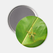 Grüne Eidechse auf grünem Blatt Magnet (Vorderseite/Rückseite)