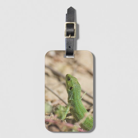 Grüne Eidechse Gepäckanhänger (Vorderseite Vertikal)