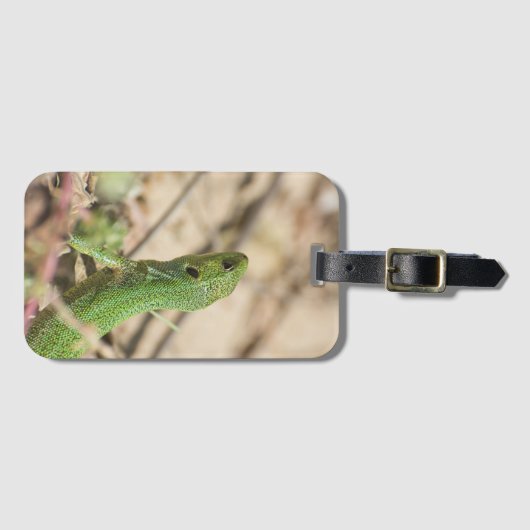 Grüne Eidechse Gepäckanhänger (Vorderseite (Horizontal))
