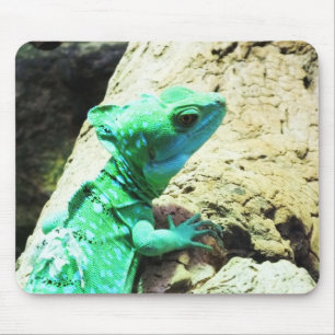 Grüne Eidechse Mousepad