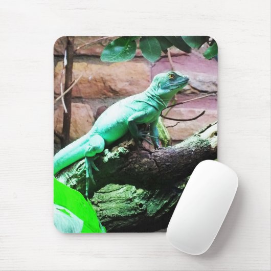 Grüne Eidechse Mousepad (Mit Mouse)