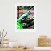 Grüne Eidechse Poster (Küche)