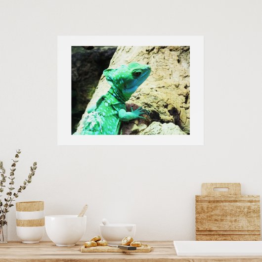 Grüne Eidechse Poster (Küche)