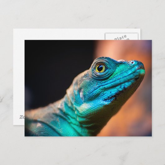 Grüne Eidechse Postkarte (Vorne/Hinten)
