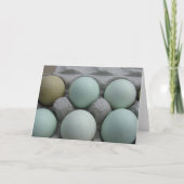 Grüne Eier Karte (Vorderseite)
