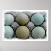 Grüne Eier Poster (Vorne)