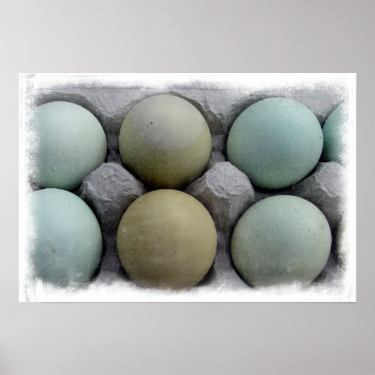 Grüne Eier Poster (Vorne)