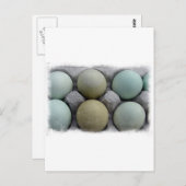 Grüne Eier Postkarte (Vorne/Hinten)