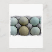 Grüne Eier Postkarte (Vorderseite)