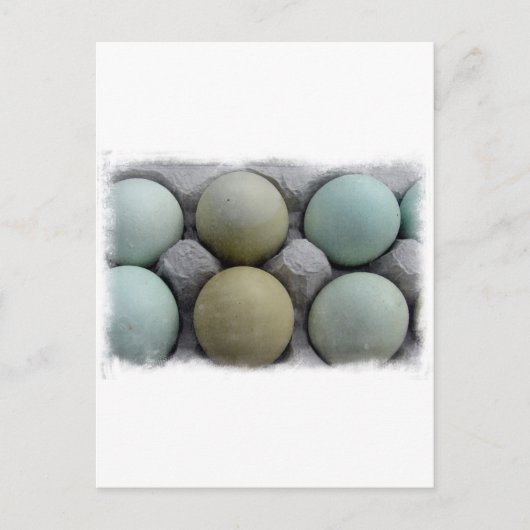 Grüne Eier Postkarte (Vorderseite)