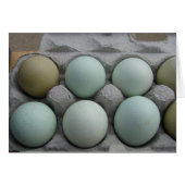 Grüne Eier und Oliveneier (Vorderseite (Horizontal))