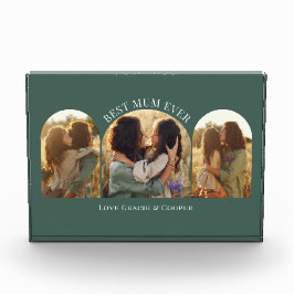 Grüne, elegante Arschvielte Foto