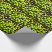 Grüne Erbsen Geschenkpapier (Ecke)