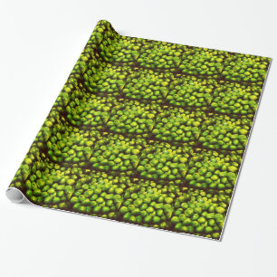 Grüne Erbsen Geschenkpapier