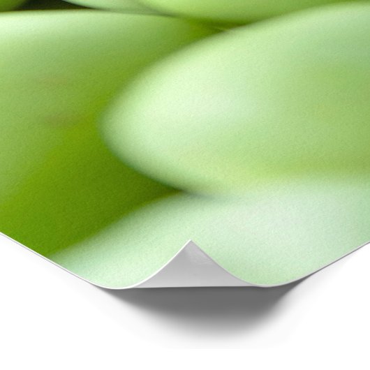 Grüne Erbsen Poster (Ecke)